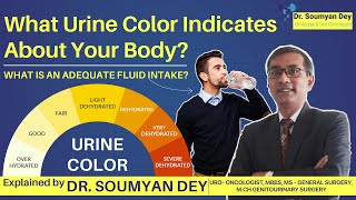 What Your Urine Color Says About Your Body  What Is An Adequate Fluid Intake Explained by Dr Dey [upl. by Enelaehs789]