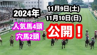 【競馬】有料級⁉️11月9日、10日の開催で馬券内に入りそうな馬を6頭ピックアップ‼️ [upl. by Joannes]