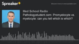 Pathologystudentcom Promyelocyte vs myelocyte can you tell which is which made with Spreaker [upl. by Moynahan]