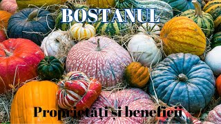 Bostanul  quotSuperalimentquot  Proprietati si beneficii [upl. by Kieffer817]