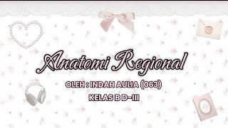 TUGAS ANATOMI FISIOLOGI  ANATOMI REGIONAL  INDAH AULIA [upl. by Guimond]