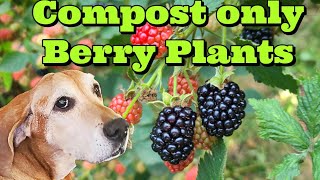 Compost Only Berry Plants [upl. by Roede]