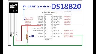 DS18B20 Temperature Sensor [upl. by Wall777]