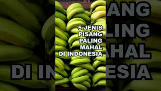 5 Jenis Pisang Paling Mahal di Indonesia ekoazis [upl. by Yolanthe]