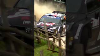 ☆ Ogier ALMOST CRASH ☆ WRC Croatia Rally 2024 [upl. by Annayi]