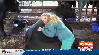 4H FFA members hit the livestock ring at the SEMO District Fair [upl. by Tiffi]