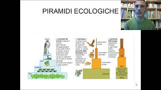 Flusso dellenergia negli ecosistemi [upl. by Kreiker]