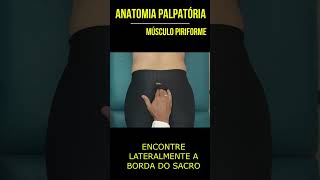 Anatomia Palpatória  Piriforme shorts fisioterapia terapiamanual [upl. by Eddie80]