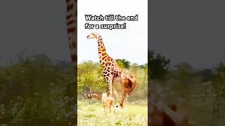 Watch till the end for a surprise giraffes cant dance fyp [upl. by Aylward]