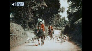 1910  quotA Run With The Exmoor Staghoundsquot in Kinemacolor [upl. by Amalbergas]