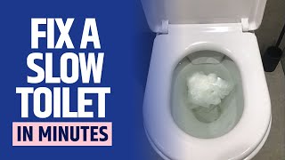 How to Fix A Slow Draining Toilet This Tip Works Wonders [upl. by Britney]