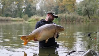 Jak łowić duże karpie na Starorzece Karp 22 KG [upl. by Den]