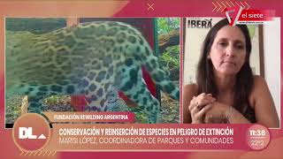 ESPECIES EN PELIGRO DE EXTINCIÓN  Conservación y reinserción [upl. by Anan]