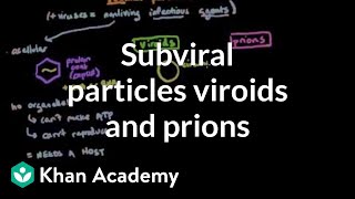 Subviral particles viroids and prions  Cells  MCAT  Khan Academy [upl. by Ahsanat343]