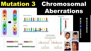 Chromosomal Aberrations  Duplication  Deletion  Inversion  Translocation  Dr Ghanshyam Jangid [upl. by Goldenberg]