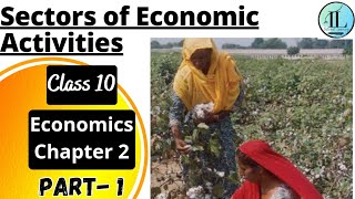 Sectors of Economic Activities  Sectors of the Indian Economy  Class 10 Economics Chapter 2 CBSE [upl. by Anomer246]