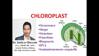 Chloroplast Structure and Functions Biogenesis of DNA Semiautonomous organelle [upl. by Truc445]