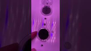 Hydroponic System Moistenland Z202 Unboxing 💦 Deep Water Culture 💦 [upl. by Reave]