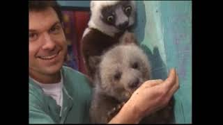 Zoboomafoo  Fearfest Full PBS Broadcast [upl. by Fabiola]