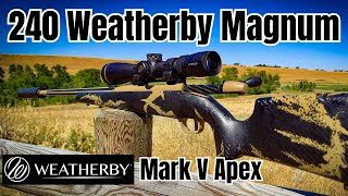 240 Weatherby Magnum to 600 Yards Weatherby Mark V Apex [upl. by Onifur983]