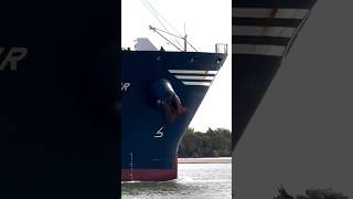 ELKA ASTIR vessel youtubeshorts foryou funny viralvideo viralshorts shortvideo ship truck [upl. by Fayth925]