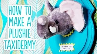 DIY Stuffed Animal Taxidermy [upl. by Yotal]