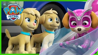 Skye Meets the Mighty Twins and MORE  PAW Patrol  Cartoons for Kids [upl. by Eugatnom284]