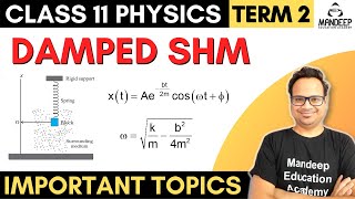 Damped Oscillation Class 11 Physics Term 2 Damping in Simple Harmonic Motion SHM [upl. by Rybma]