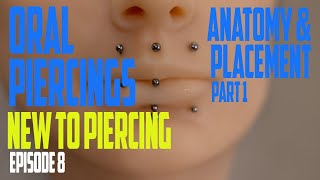 Oral Piercings Anatomy amp Placement Part 1  New to Piercer EP08 [upl. by Anialeh]