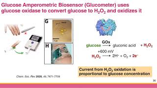 Ch 33c Amperometric Glucose Biosensor [upl. by Tiffanie]