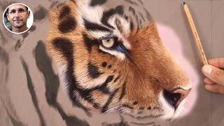 Learn to Draw Fur with Pastel  Professional tips  techniques  Jason Morgan Wildlife Art [upl. by Araccat723]