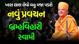 બહુ મજા પડશે  Brahmavihari Swami 2024  BAPS Katha  Baps Pravachan  Swaminarayan Katha [upl. by Ijuy]