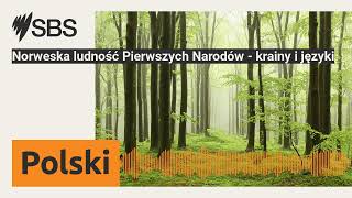 Norweska ludność Pierwszych Narodów  krainy i języki  SBS Polish  SBS po polsku [upl. by Kameko780]