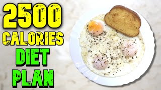 2500 Calorie Meal Plan [upl. by Agace]