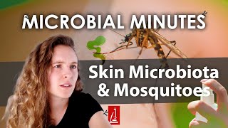 Altering Skin Microbiota to Repel Mosquitoes  Microbial Minutes [upl. by Garlinda770]