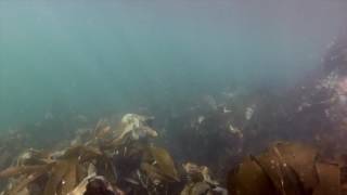 Gruinard Bay  Beneath the Waves [upl. by Glogau655]