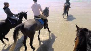 ST Peter Ording Reiten am Meer der Film [upl. by Strickler]