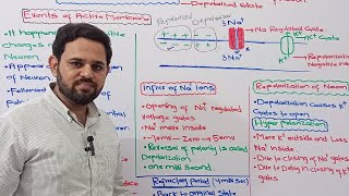 Active Membrane Potential  Nerve Impulse  Class 12  NBF  FBISE [upl. by Stannfield]