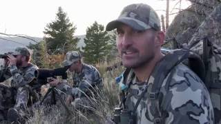 Bow Hunting Elk in Montana [upl. by Modnarb]