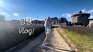 외국인이 경험한 평창 알펜시아 여행 브이로그✨🏔️ Exploring Pyeongchang Alpensia as a Foreigner travel vlog [upl. by Enileuqkcaj918]