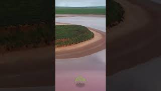 4K Drone Aerial View of Lake Bumbunga Australia  The Nature Project  Wildlife Videography shorts [upl. by Lafleur956]