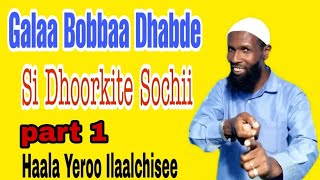 AbdooshAliyyii GalaaBobbaaDhabdee Si dhoorkite Sochii Qophii Haala yeroo ilaalchisee Part1 [upl. by Adnaloj]