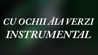 Lidia Buble  Cu ochii aia verzi  Instrumental [upl. by Giselle476]