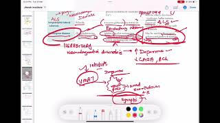 pharmacology  Amyotrophic lateral sclerosis amp Huntington disease neurology 205  USMLE Step 1 [upl. by Arekat238]