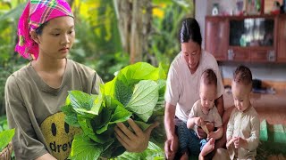 My motherinlaw helps take care of the children  I harvest lolot leaves to sell lythithanh [upl. by Esilanna]