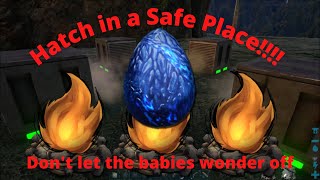 Ark Basics How to hatch Eggs incubation mechanics [upl. by Ahsemad]