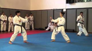 Gojushiho Sho Bunkai [upl. by Latouche]