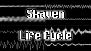 Skaven Peter Hajba  “Life Cycle” STM Oscilloscope View [upl. by Yale]