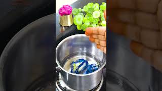 Shanku Puvvu Tea  Butterfly Pea Flower Tea Telugu  Blue Tea  Most Healthy Tea Recipe [upl. by Derrick661]