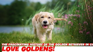 The Fascinating History of the Golden Retriever in Canada [upl. by Odla]